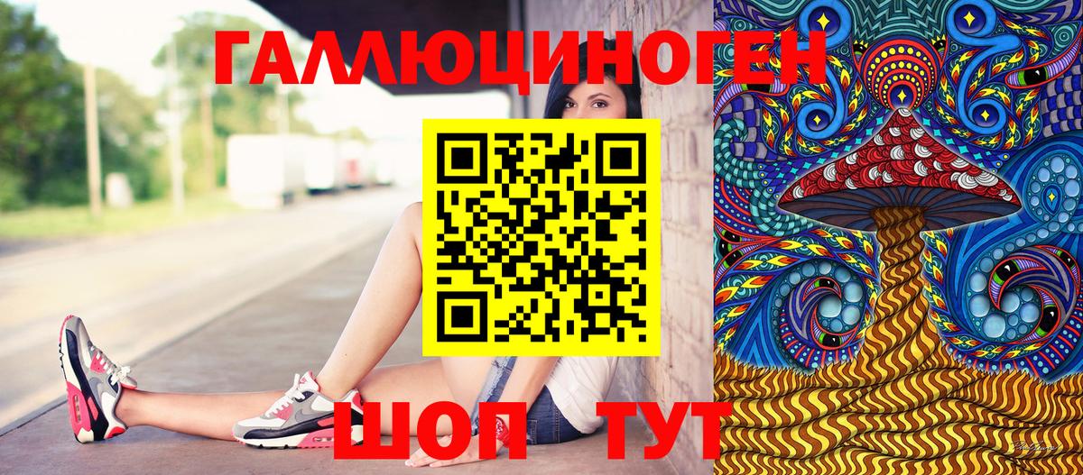 Галлюциногенные грибы Psilocybe Люберцы